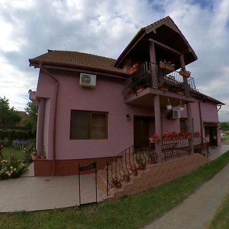 Hotel Pensiunea Oana Balc Exterior foto