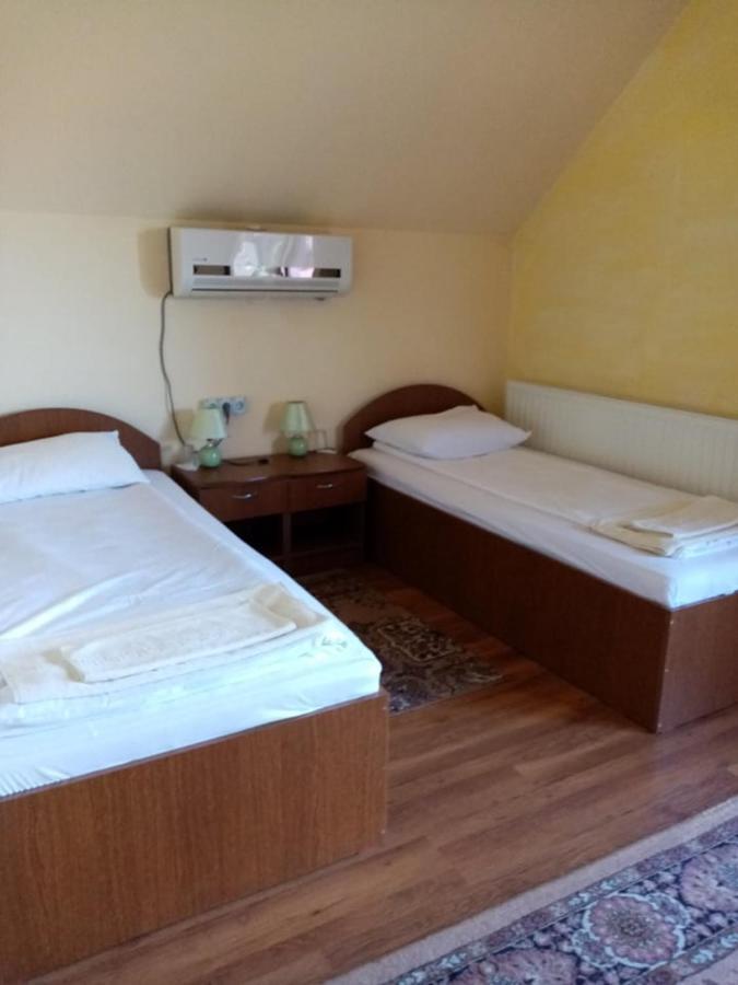 Hotel Pensiunea Oana Balc Exterior foto