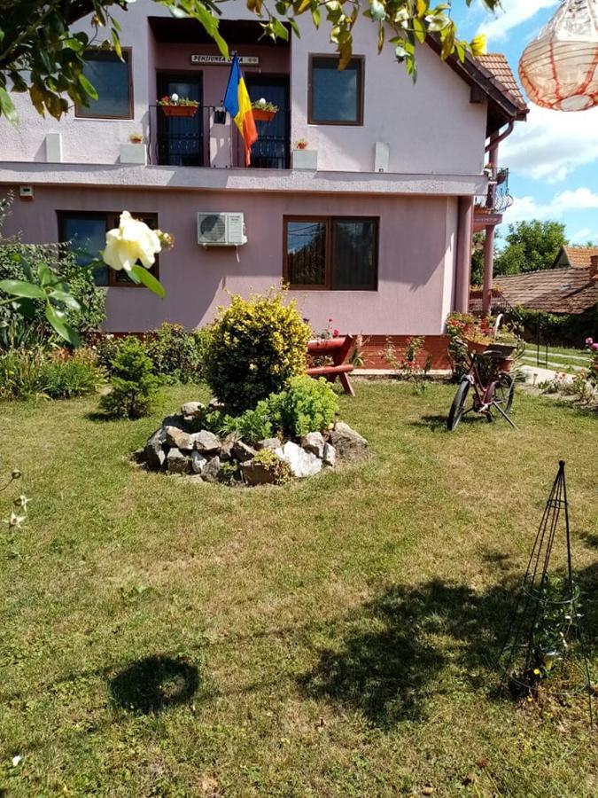 Hotel Pensiunea Oana Balc Exterior foto